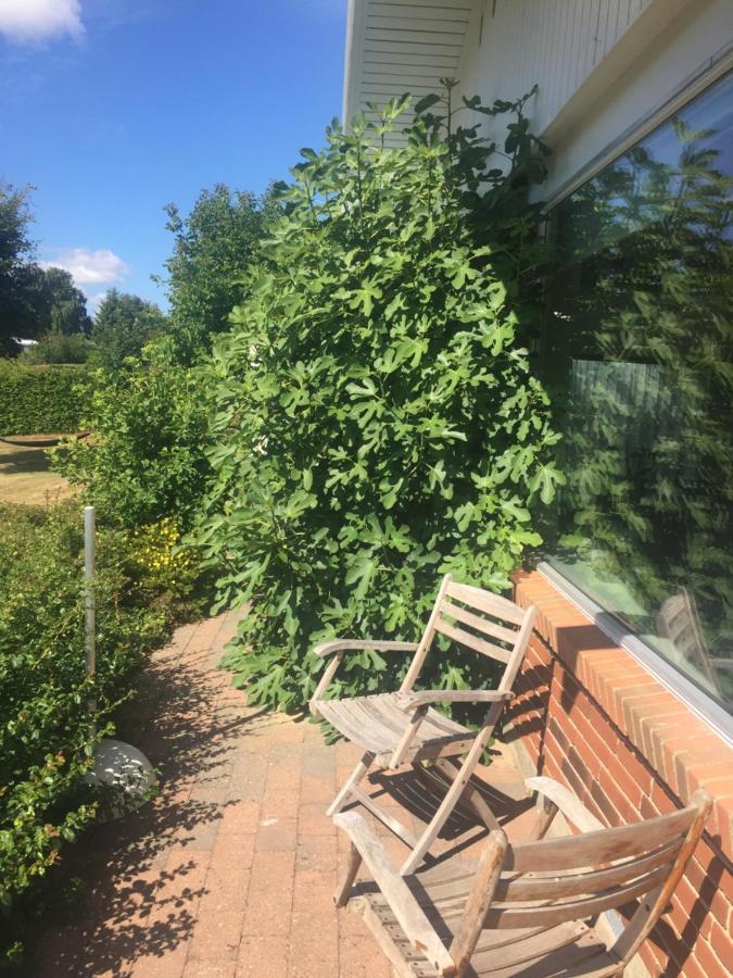 Vaerelse Med Udsigt Over Limfjorden - Rolige Omgivelser Og Adgang Til Flot Have Nykobing Mors Extérieur photo